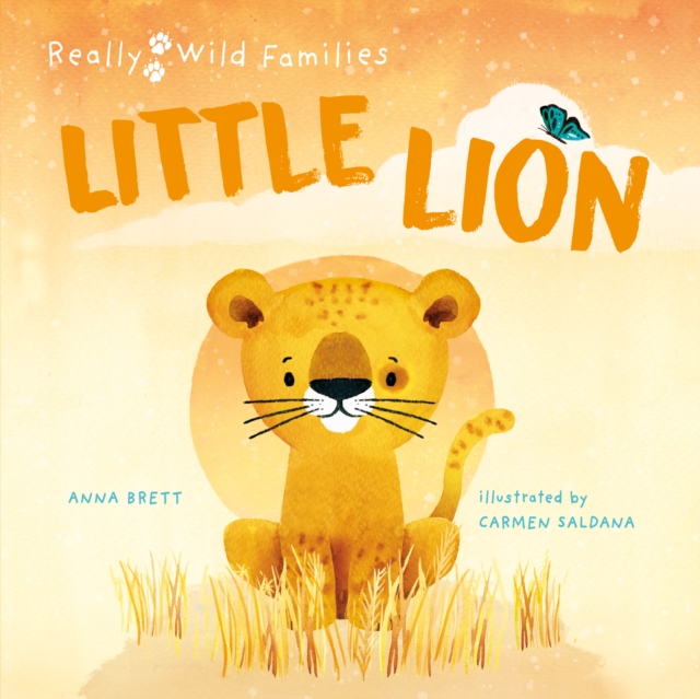 Little Lion : A Day in the Life of a Lion Cub, Hardback Book