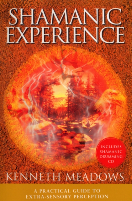 Shamanic Experience, Paperback Book