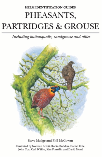 Pheasants, Partridges & Grouse : Including buttonquails, sandgrouse and allies, Hardback Book