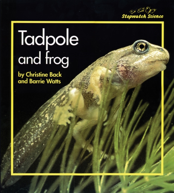 Stopwatch Big Book: Tadpole and Frog, Paperback / softback Book