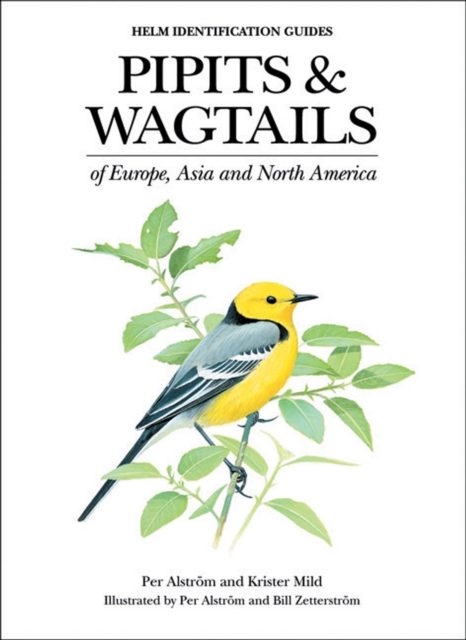 Pipits and Wagtails of Europe, Asia and North America, Hardback Book
