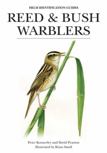 Reed and Bush Warblers, Hardback Book