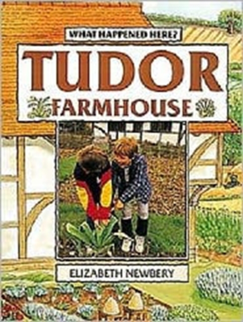 Tudor Farmhouse, Paperback / softback Book
