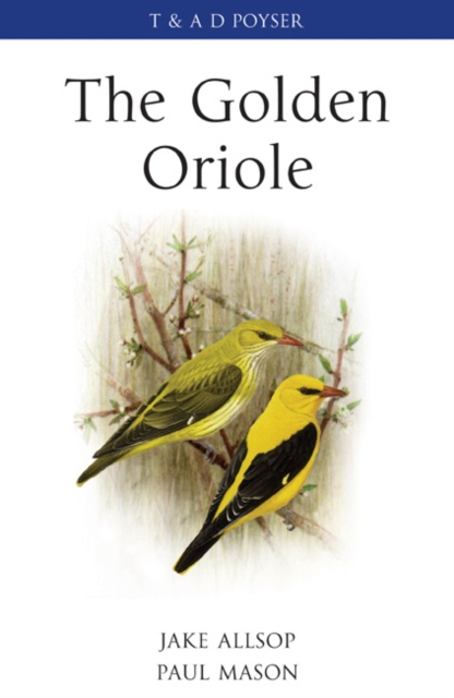 The Golden Oriole, Hardback Book