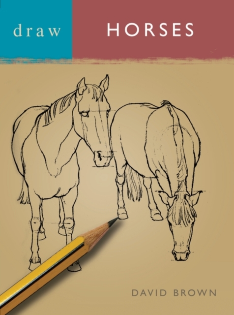 Draw Horses, Paperback / softback Book