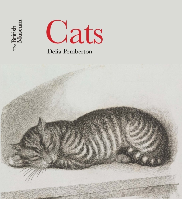 Cats, Paperback / softback Book