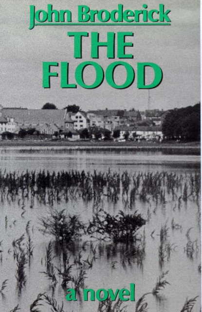 The Flood, Hardback Book