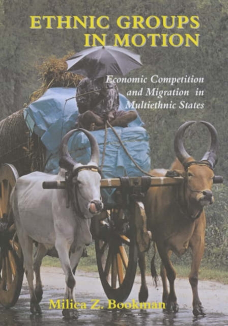 Ethnic Groups in Motion : Economic Competition and Migration in Multi-Ethnic States, Hardback Book