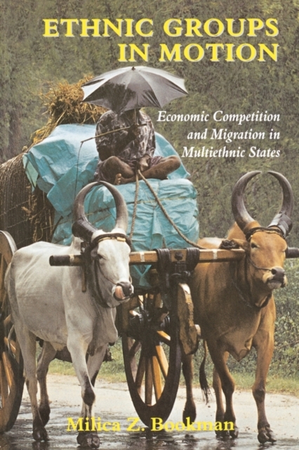 Ethnic Groups in Motion : Economic Competition and Migration in Multi-Ethnic States, Paperback / softback Book