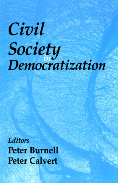 Civil Society in Democratization, Paperback / softback Book