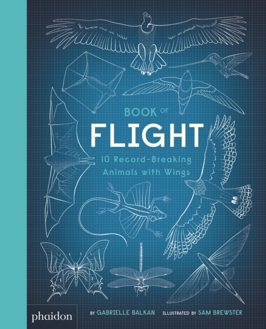 Book of Flight : 10 Record-Breaking Animals with Wings, Hardback Book