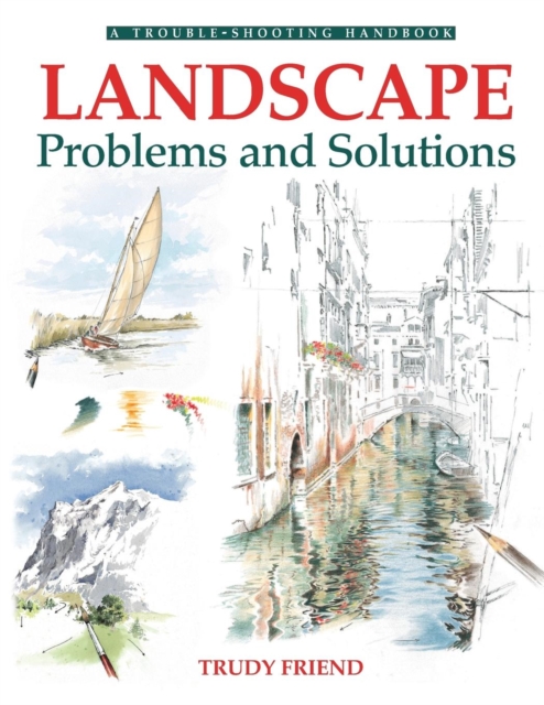 Landscapes, Problems and Solutions : A Trouble-Shooting Guide, Paperback / softback Book