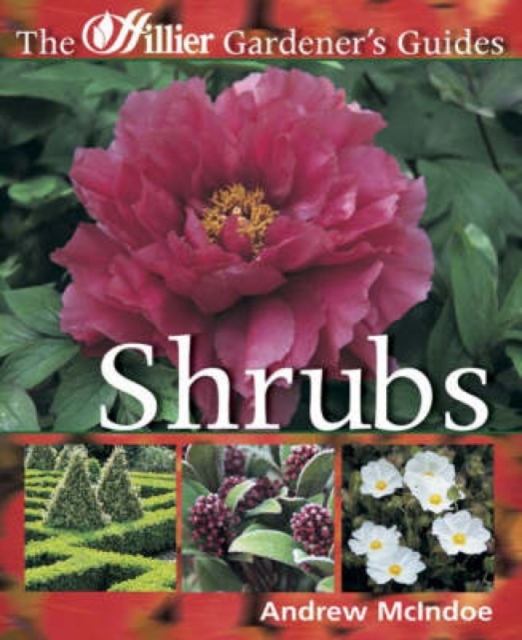 Shrubs, Paperback / softback Book