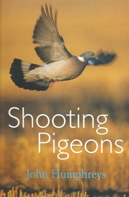 Shooting Pigeons, Paperback / softback Book