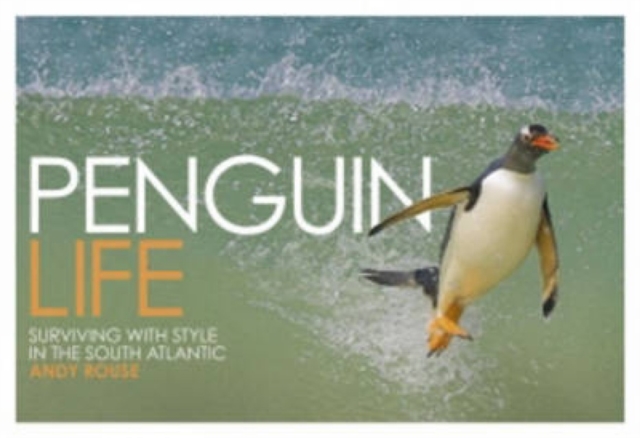 Penguin Life : Surviving with Style in the South Atlantic, Hardback Book