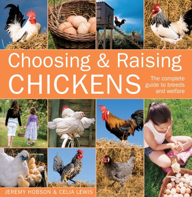 Choosing and Raising Chickens, Paperback / softback Book