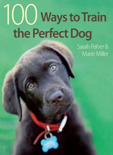 100 Ways to Train the Perfect Dog, EPUB eBook