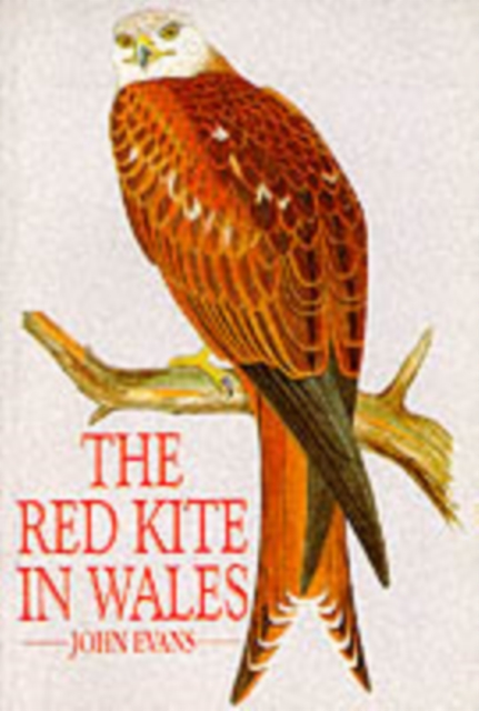 The Red Kite in Wales, Paperback Book