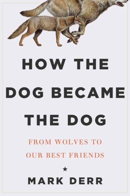 How the Dog Became the Dog, Hardback Book