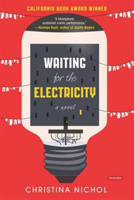 Waiting for the Electricity, Hardback Book