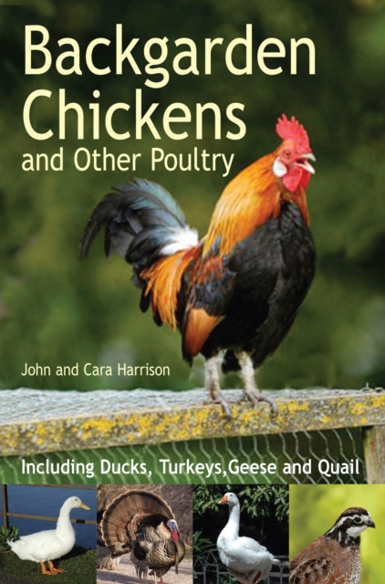 Backgarden Chickens and Other Poultry, EPUB eBook