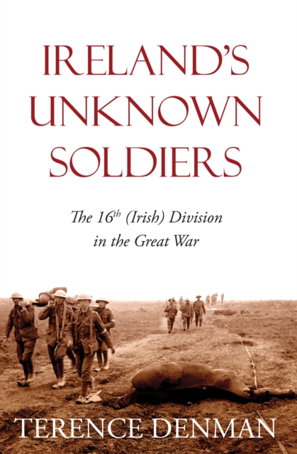 Ireland's Unknown Soldiers : The 16th (Irish) Division in the Great War, Paperback / softback Book