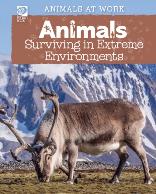 Animals Surviving in Extreme Environments, PDF eBook