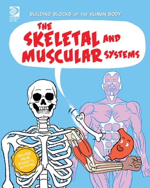 The Skeletal and Muscular Systems, PDF eBook