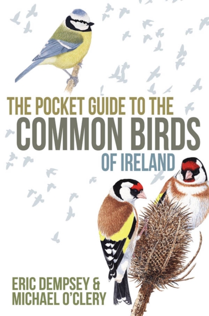 The Pocket Guide to the Common Birds of Ireland, Paperback / softback Book