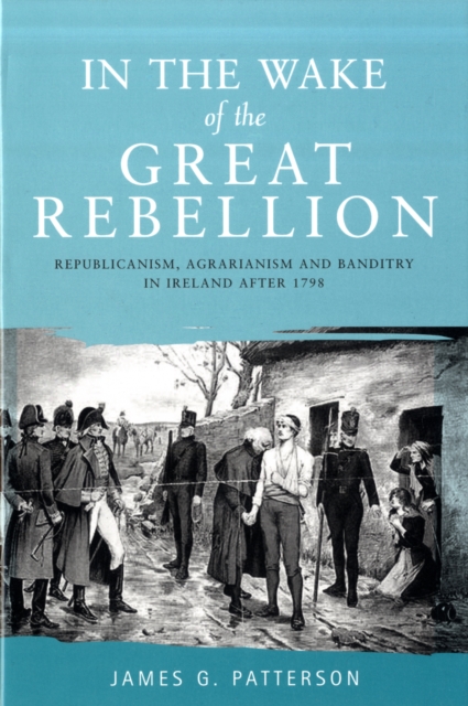 In the Wake of the Great Rebellion : Republicanism, Agrarianism and Banditry in Ireland After 1798, Hardback Book