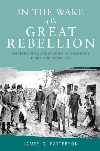 In the Wake of the Great Rebellion : Republicanism, Agrarianism and Banditry in Ireland After 1798, Paperback / softback Book