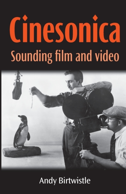 Cinesonica : Sounding Film and Video, Paperback / softback Book