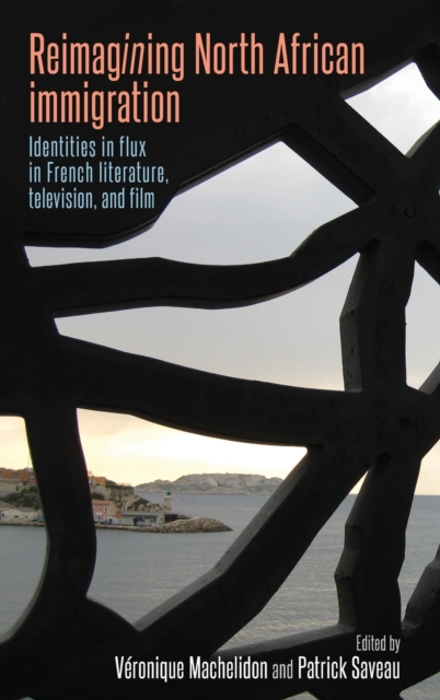 Reimagining North African Immigration : Identities in Flux in French Literature, Television, and Film, Hardback Book