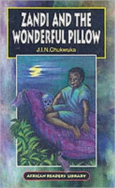 Zandi and the Wonderful Pillow, Paperback / softback Book