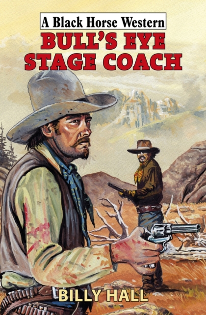 Bull's Eye Stage Coach, Hardback Book
