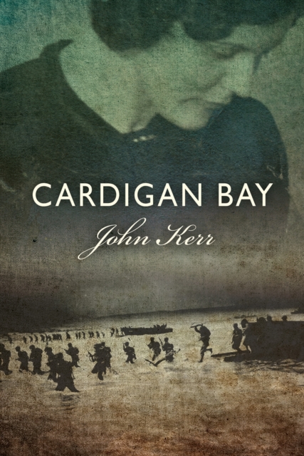 Cardigan Bay, Hardback Book