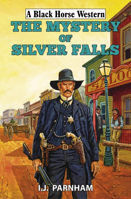 The Mystery of Silver Falls, Hardback Book