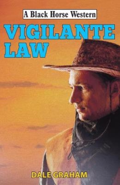 Vigilante Law, Hardback Book