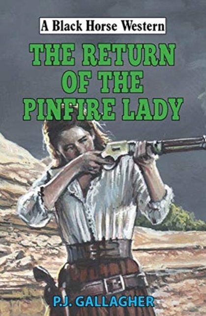 The Return of the Pinfire Lady, Hardback Book