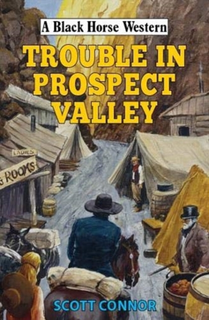 Trouble in Prospect Valley, Hardback Book