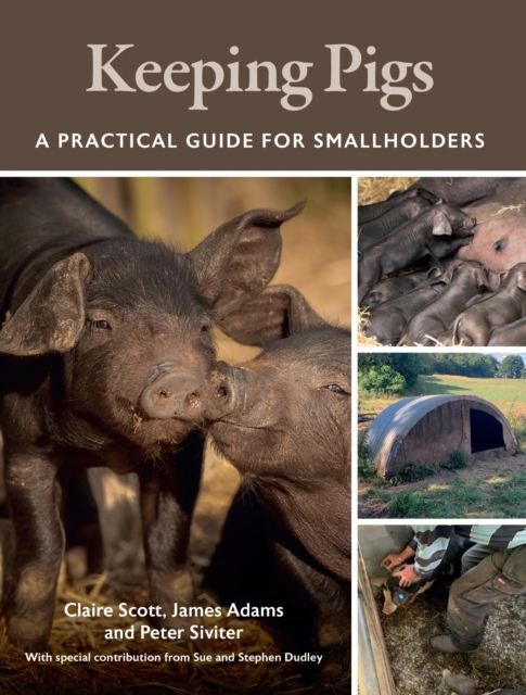 Keeping Pigs : A Practical Guide for Smallholders, EPUB eBook