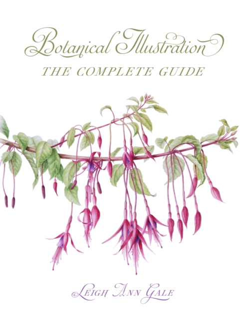 Botanical Illustration : The Complete Guide, Paperback / softback Book
