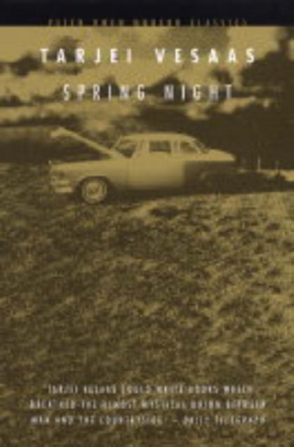 Spring Night, Paperback / softback Book