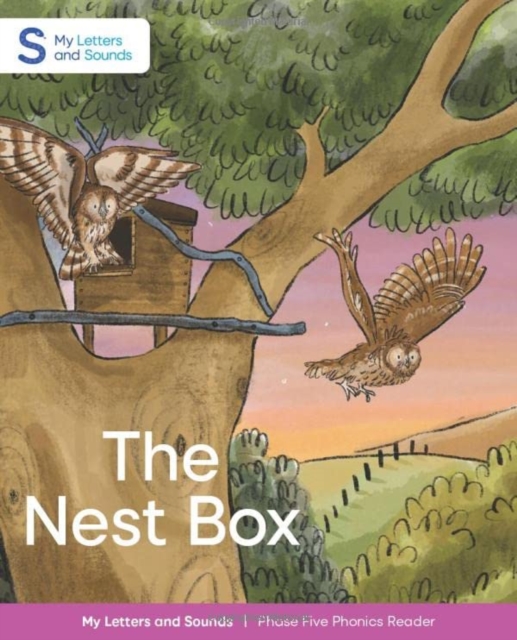 The Nest Box, Paperback / softback Book