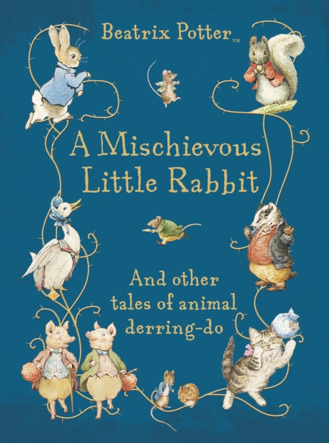 A Mischievous Little Rabbit, Hardback Book