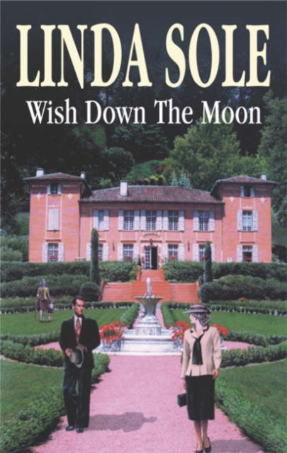 Wish Down the Moon, Hardback Book