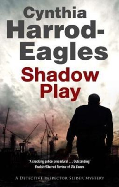 Shadow Play, Hardback Book