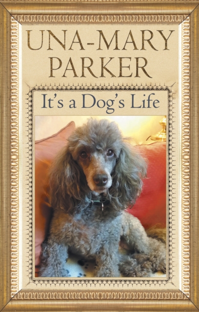 It's a Dog's Life, Hardback Book