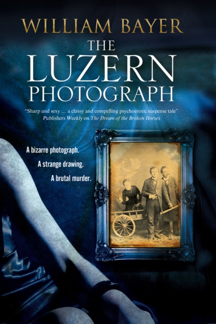 The Luzern Photograph : A Noir Thriller, Hardback Book