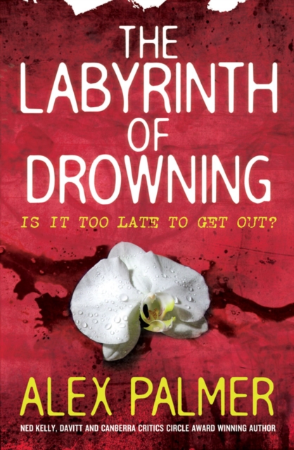 The Labyrinth of Drowning, EPUB eBook